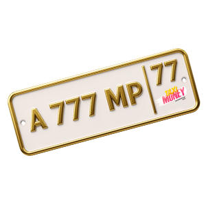 VIP license plate